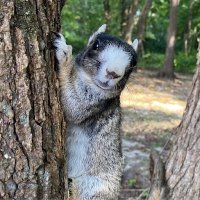 Robert David (@djohnsonjr67) 's Twitter Profile