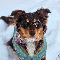 Erik Tolzmann (@tolz_mann) 's Twitter Profile