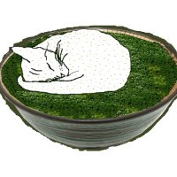 UKN Maotcha (@uknmaotcha) 's Twitter Profile Photo