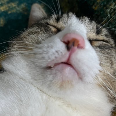 My name is Furkan. I m from Türkiye/Turkey 🇹🇷 Steam64id: 76561198262326803