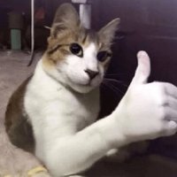 vinicinho (@viniciows) 's Twitter Profile Photo vinicinho (@viniciows) 's Twitter Profile Photo