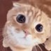 Kiss kiss (@juhalskii) Twitter profile photo Kiss kiss (@juhalskii) Twitter profile photo