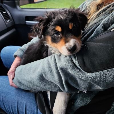 terri_fedd44680's profile picture. 