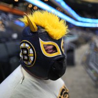 Bruins luchador (@bruinsluchador) 's Twitter Profile Photo Bruins luchador (@bruinsluchador) 's Twitter Profile Photo