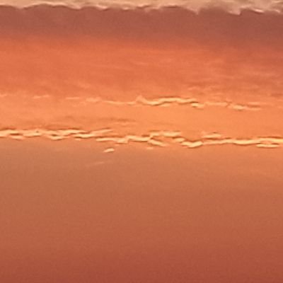 Corn_Silk's profile picture. 