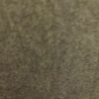 Emilie Cornec-Le Gall (@ecorneclegall) 's Twitter Profile