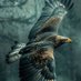 Abdallah 🕊️ (@abdallah_md99) Twitter profile photo Abdallah 🕊️ (@abdallah_md99) Twitter profile photo