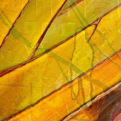 LyleMorgan30704's profile picture. Photographer. Artist. 
https://t.co/UvRgO70vVU
https://t.co/eiaSuTo7a7
https://t.co/8lU4aZ6VO1