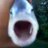 KalaKalalainen's profile image