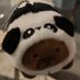 smalltealady (@smalltealady) Twitter profile photo smalltealady (@smalltealady) Twitter profile photo