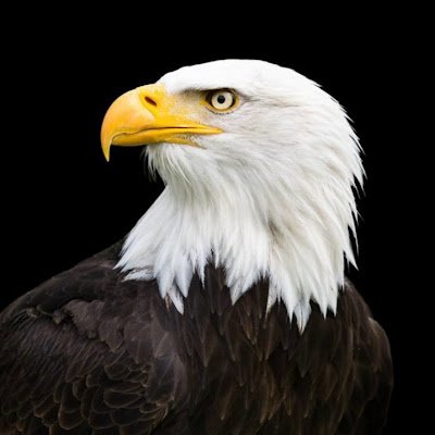 LicP71208's profile picture. 