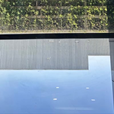 ayazikaphillip's profile picture. 