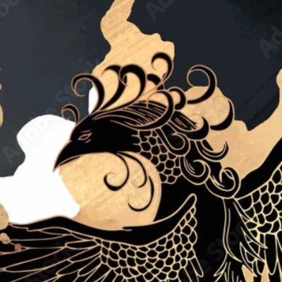 FenixRook's profile picture. 