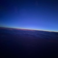 David Raskino (@goofydr1) 's Twitter Profile