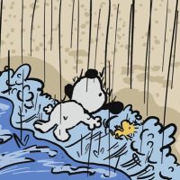 av ! (@avidchuckler) 's Twitter Profile