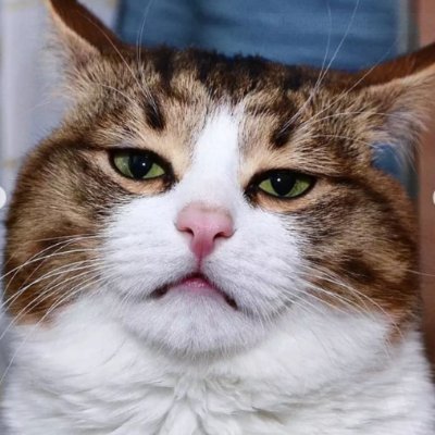 BillGat86661613's profile picture. 