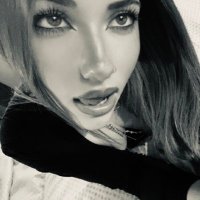 soph (@s0php0s) 's Twitter Profile