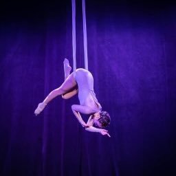 Founder and Director of Dance-Forms Productions and Dance-Forms' International Choreographers' Showcaset
