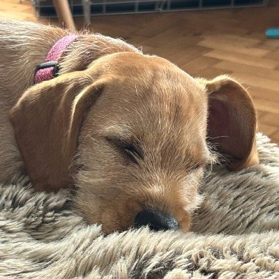 manofdigital's profile picture. I am web 2.0 guy living in a web 3.0 world !