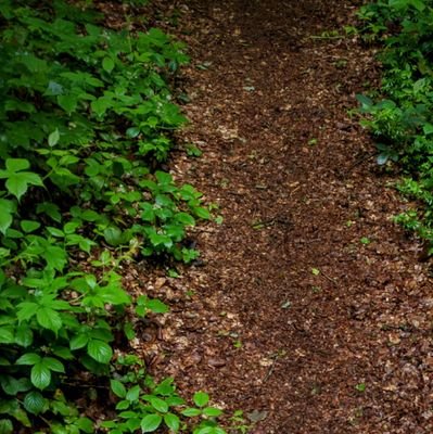 DeclanRek's profile picture. Tech lead at @devoorhoede