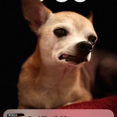 paulypockets57's profile picture. 