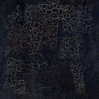 nogonotatall's profile picture. 