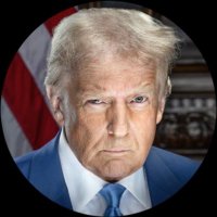 President Donald J. Trump - Parody (@realdonparody) Twitter profile photo