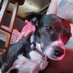name cannot be blank (@itchyscratchi) Twitter profile photo name cannot be blank (@itchyscratchi) Twitter profile photo