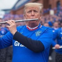 Spanishbear (@spanishbear1) 's Twitter Profile
