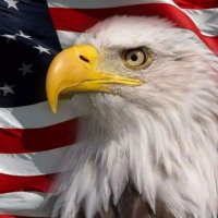 Don (@thunderbirdmgr) 's Twitter Profile Photo Don (@thunderbirdmgr) 's Twitter Profile Photo