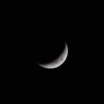 GRAY Profile