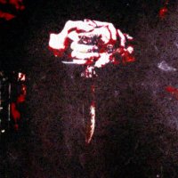 Detriment (@detrimentrghc) 's Twitter Profile Photo Detriment (@detrimentrghc) 's Twitter Profile Photo