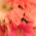 mimi (@bonny_bunny) Twitter profile photo