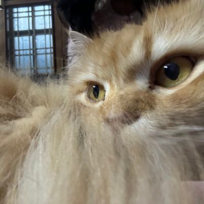 Sathwi7V's profile picture. Character artist for games student