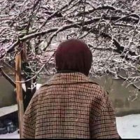 Fatma Çilingir (@fatmalngr1) 's Twitter Profile
