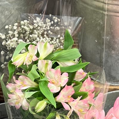 H0LLYSWEENEY's profile picture. 