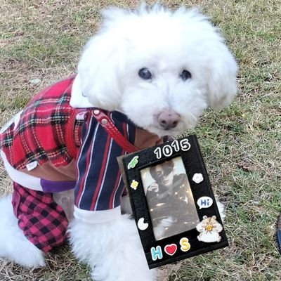 れん🦌🗝🐹福岡ENGENEさんのプロフィール画像