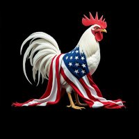 Redpill Rooster (@rprooster) 's Twitter Profile