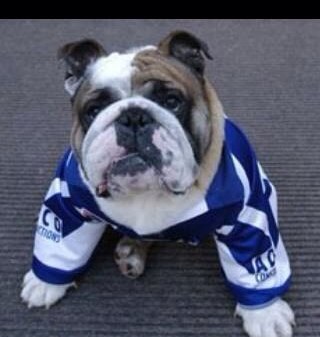 MichaelPsarros's profile picture. 