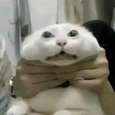 ulamaswang's profile picture. can't open this door now because i ate the key