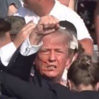 Trump Girl (I’m with BIG BALLS) (@soonleigh) 's Twitter Profile