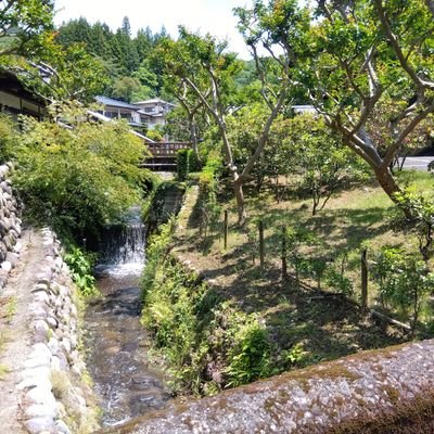 DGw50V51Ic51457's profile picture. 田舎をこよなく愛する元気いっぱいのオタク！百合好きは腐男子なのか？