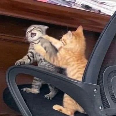 qwertyui1opas's profile picture. BRING YOUR OWN BAST🥢🔥🚬