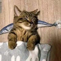 deeee (@dddeeerrr555) 's Twitter Profile