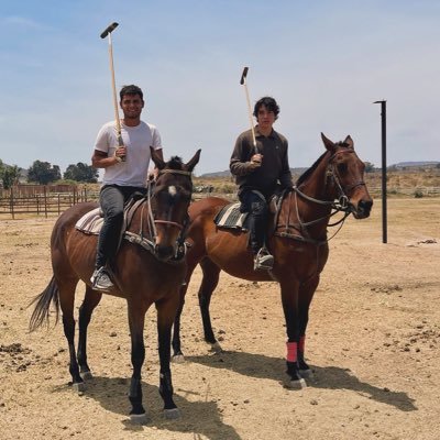 Co-Founder at Blue Seagull Virtual Machines/Quantitative Analytics LatAm Startup 🐎 Mediocre Polo Player 🤷♂️🇺🇸🇮🇱🇲🇽.