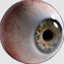 mecutie8's profile picture. 19