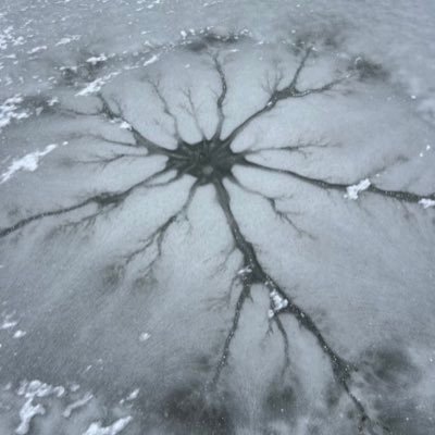 spliffmitsosse's profile picture. hm ok @anxiolyt