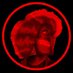 Ash | ๐พ๐ผ | roblox fish game arc !!! (@nichepins) Twitter profile photo Ash | ๐พ๐ผ | roblox fish game arc !!! (@nichepins) Twitter profile photo