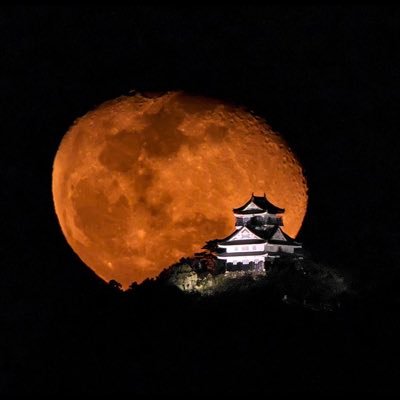 びっとさんのプロフィール画像