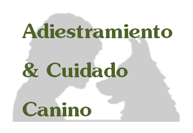 Adiestramiento y Cuidado Canino a domicilio.
